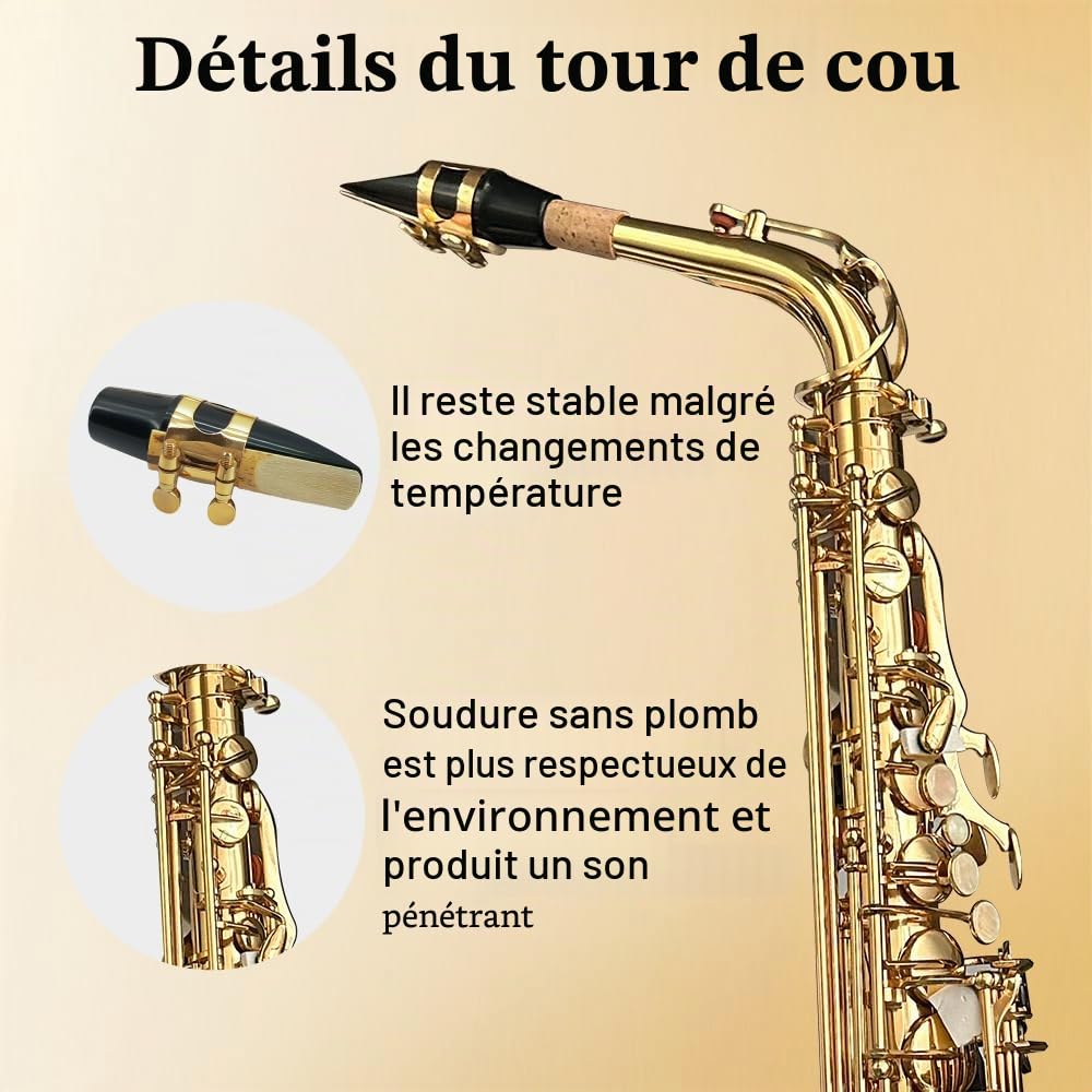 Yinfente - Saxophone Alto Mi Bémol pour débutants adultes, saxophone étudiant, kit complet avec anches, coussinets, étui de transport rigide, chiffon et tige de nettoyage, bec, gants, sangle de cou