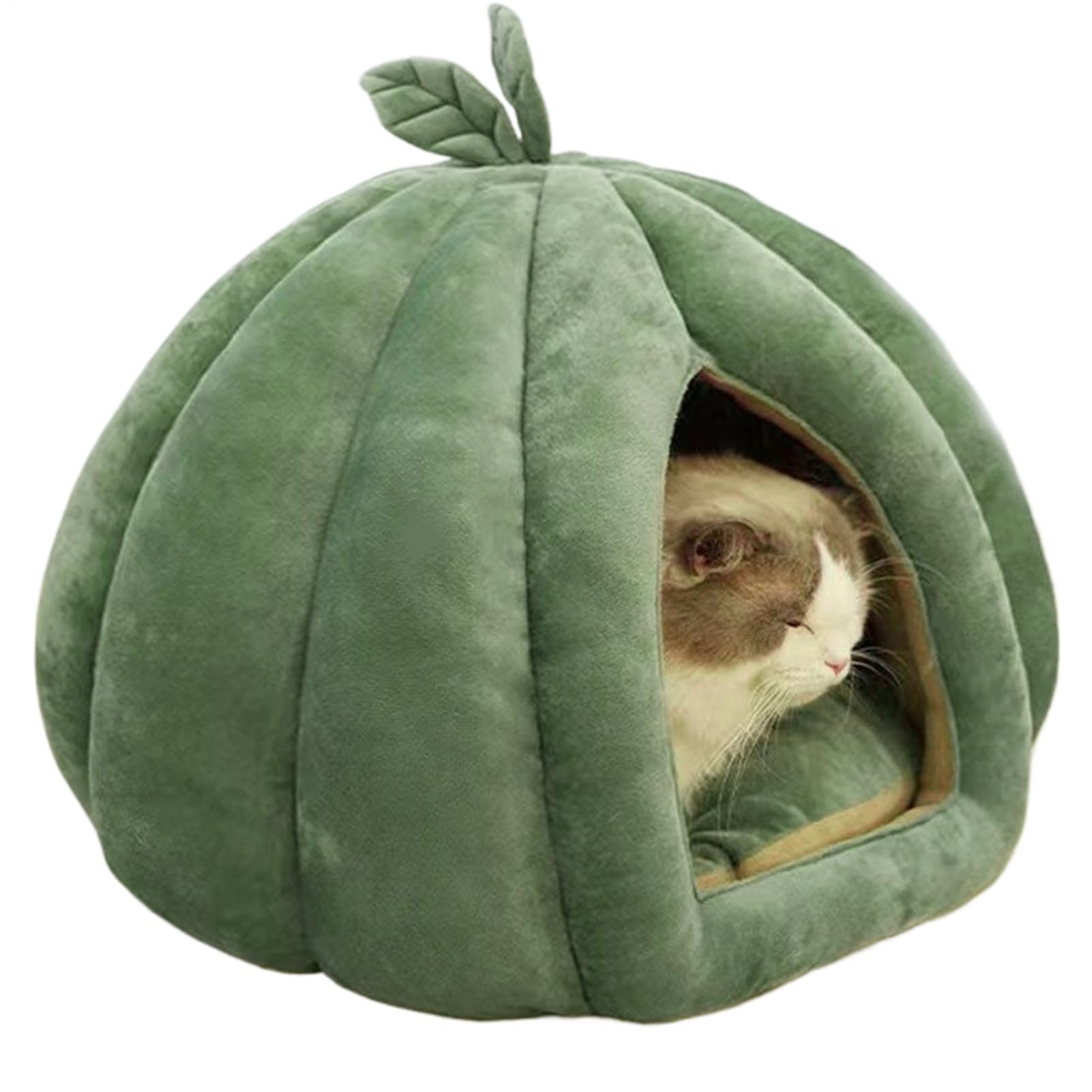 Casa per gatti di Halloween, cuccia per gatti di - Cuccia per chiusa per | Rifugio per, grotta per ispessita, cuccia per di Halloween, cani di piccola taglia, casa,