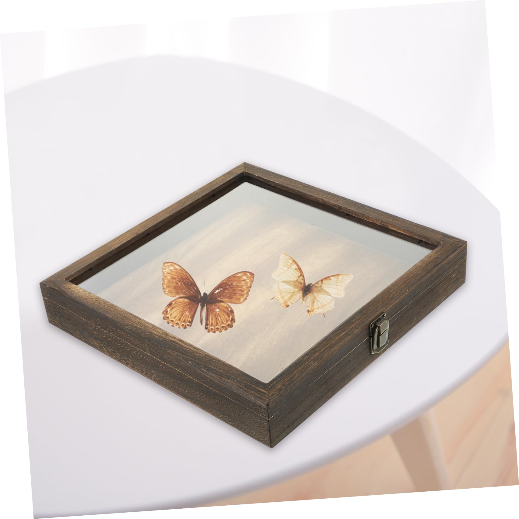 Amazon.co.jp: ヴィンテージ標本ディスプレイケース 木製昆虫ショー