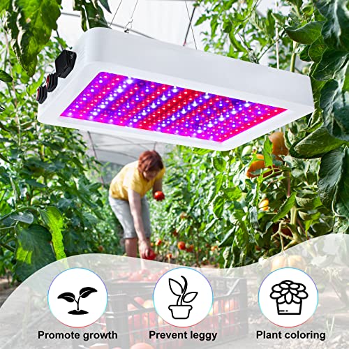 2 Pack 1000W Led Grow Lights For Indoor Plants Full Spectrum, Plant Growing Lamps With Veg & Bloom & Veg-Bloom 3 Modes, Daisy Chain And Temperature Hygrometer For Indoor Grow Tent Plant Veg And Flower #TOP3