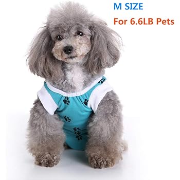 dog t shirt to cover wound