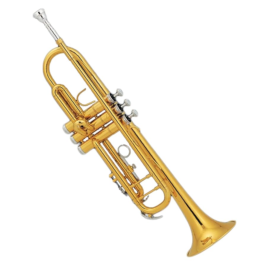 Amazon | プロの楽器トランペットゴールドラッカー Bb