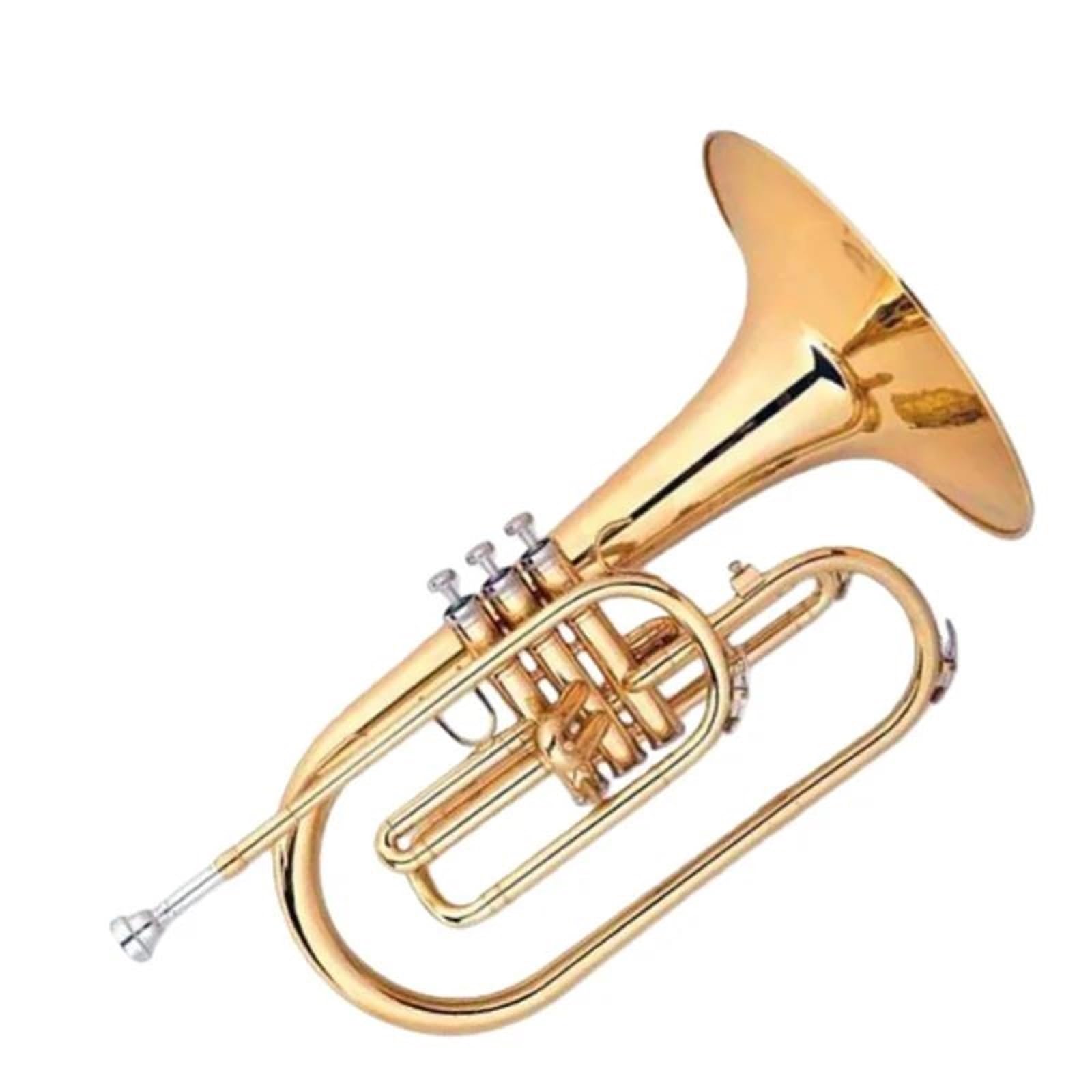 Instrument Muzyczny Waltornia Melodia Marszowa Pozłacany Korpus Z Mosiądzu Bb Waltornia Barytonowa Gama Gładkich Zaworów Trwała