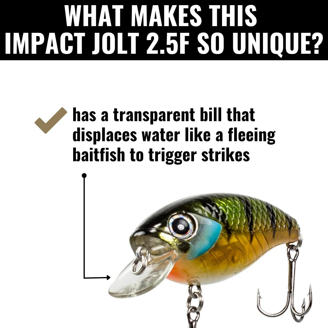 bass smasher jolt lure Amazon.com : Lunkerhunt Impact Jolt | Crankbait, Deep Diving Hard Bait  Fishing Lure