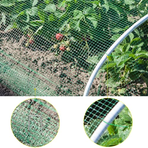 QWORK® Rete protezione uccelli 2 x 15 m, rete anti uccelli, rete in nylon tagliabile, rete per piante, per giardino, stagno, balcone - immagine 4