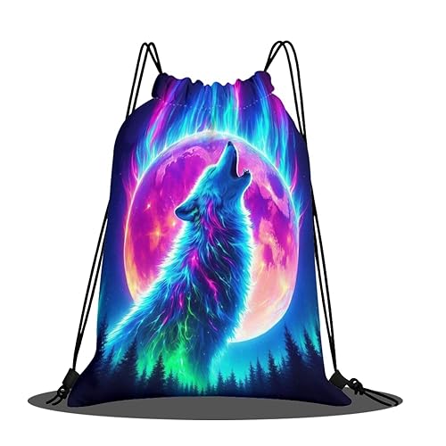 [Wnicek] ̑ w v[obO l Xm[iCgEt  ɗD iCobO ̑  ܂肽ݎ[ ubN 