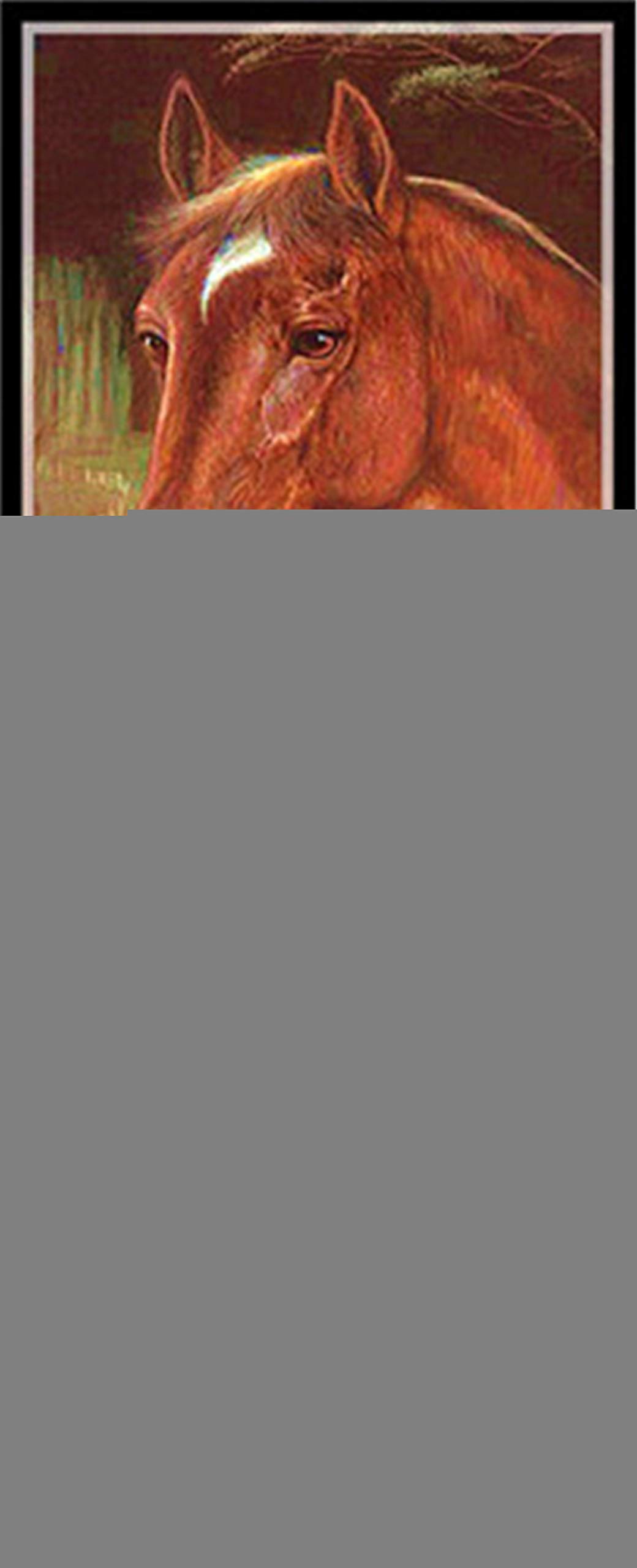 Peinture diamant cheval 5d grand format 40x80cm broderie carrée