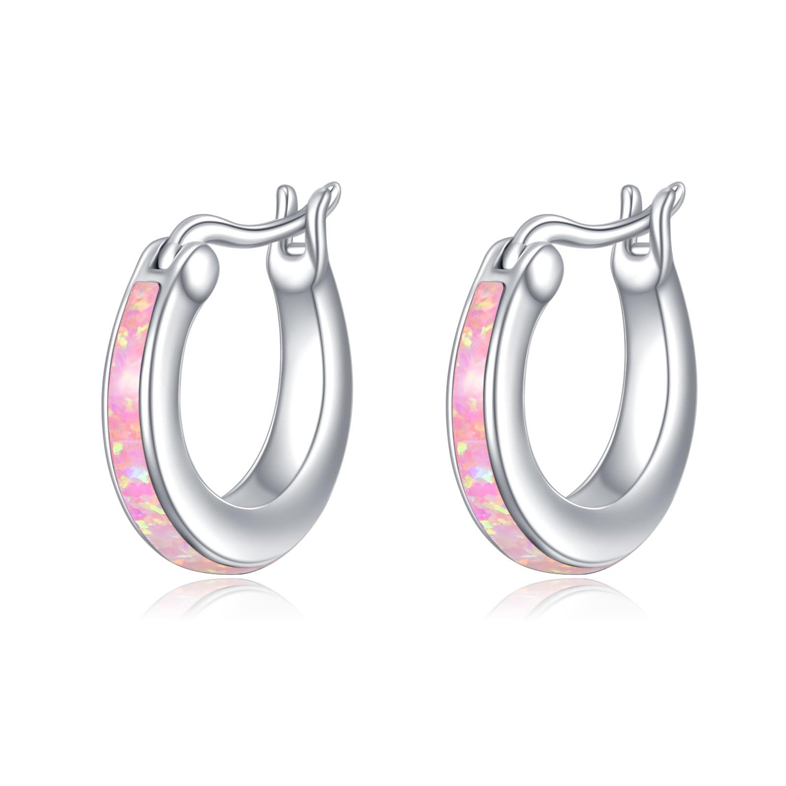 Libellen Ohrringe für Damen 925er Sterlingsilber Blaue Creolen Kleine Huggie Ohrringe Schmuck Weihnachts Geschenke