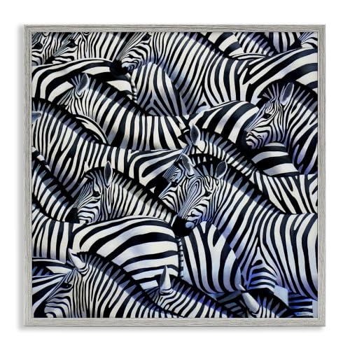 Crowded Zebra Herd Animal Print, 17 x 17 Inch Framed Giclée Print