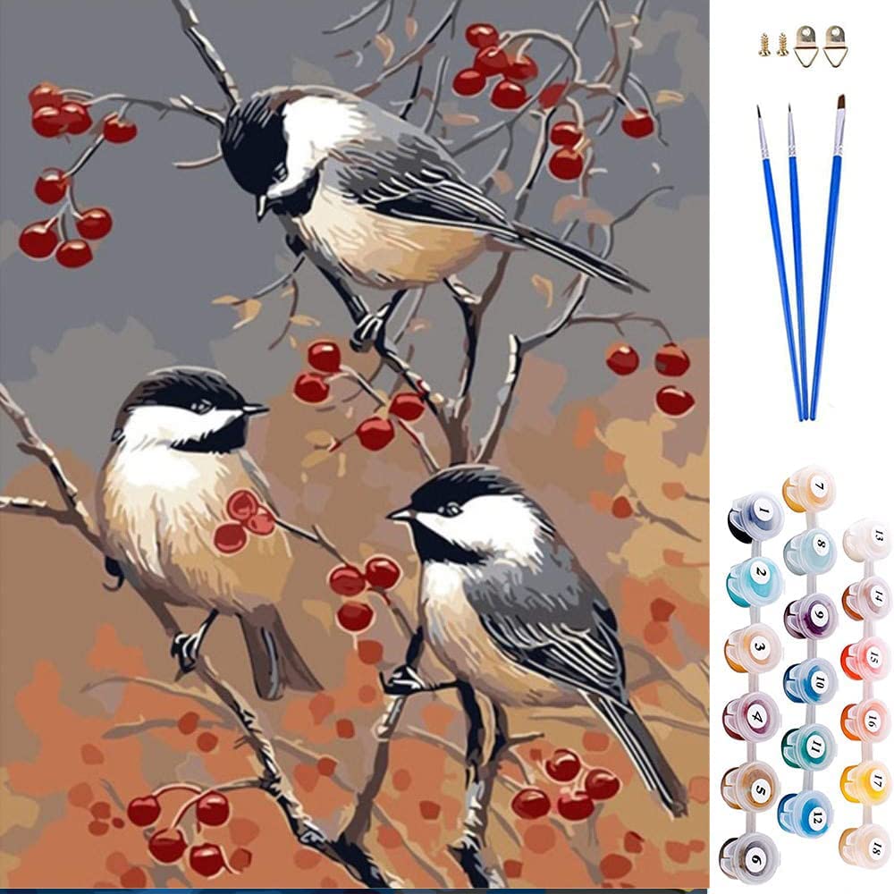 ABEUTY DIY Paint by Numbers for Adults Beginner Flowers and Birds of Living Room 16x20 inches Number Painting (Birds, Wooden Framed)