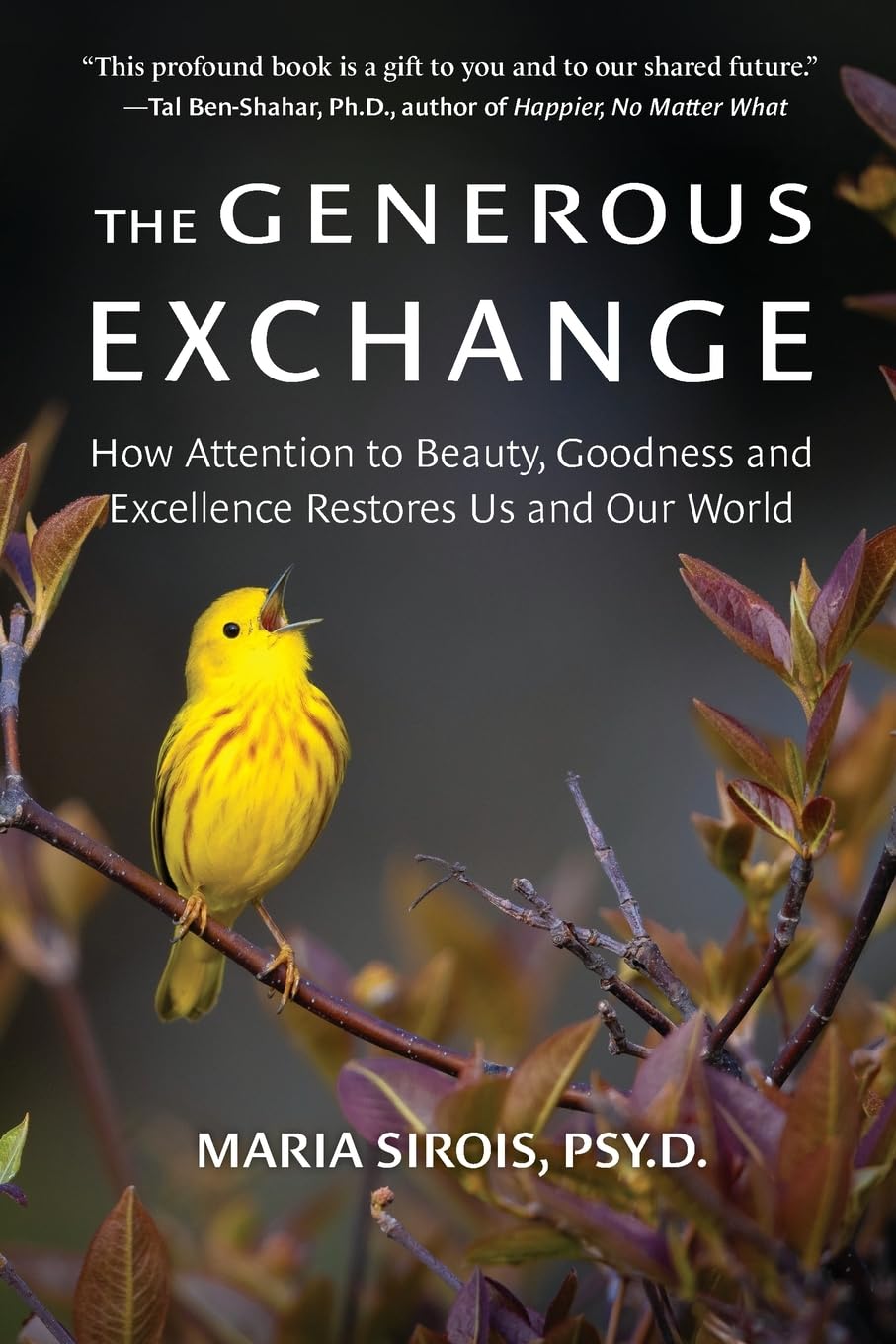 The Generous Exchange: How Attention to Beauty, Goodness and Excellence Restores Us and Our World