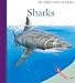 Sharks (My First Discoveries)