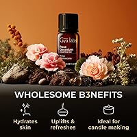 Vista 504 de Gya Labs - Aceite esencial de vainilla oleorresina para aliviar el estrés, relajación, sueño, aceite de vainilla francesa dulce para mayor