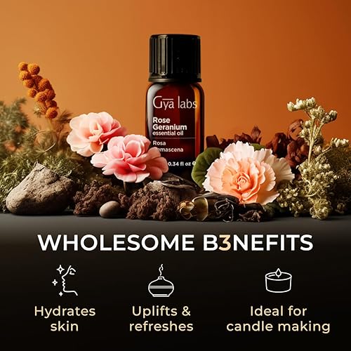 Vista 504 de Gya Labs - Aceite esencial de vainilla oleorresina para aliviar el estrés, relajación, sueño, aceite de vainilla francesa dulce para mayor