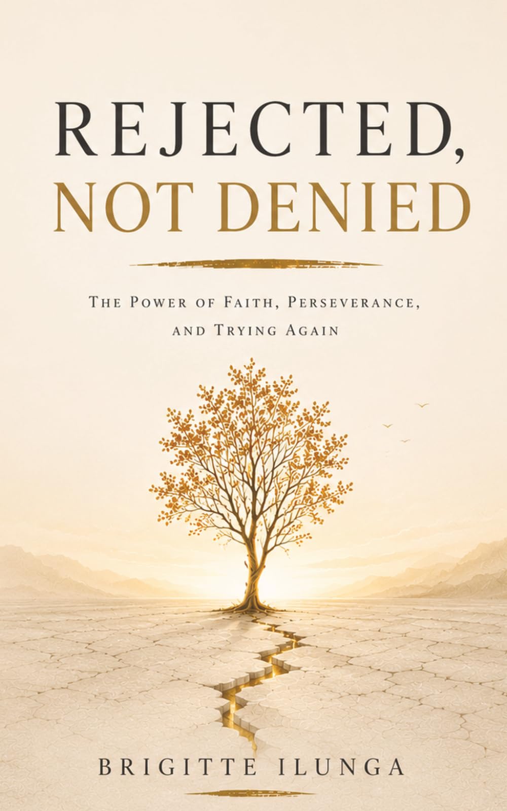 Rejected, Not Denied: A Story of Faith and Perseverance