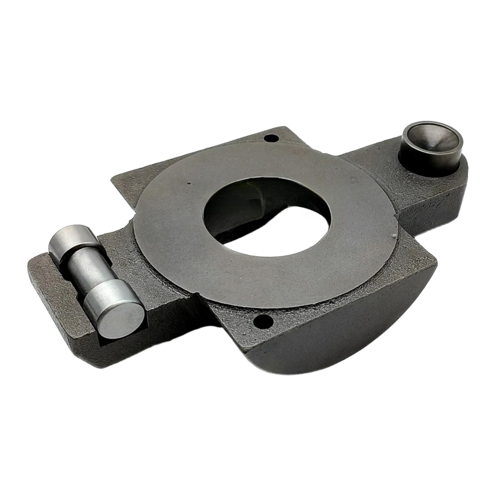 Qhdyfbn One Color Piston Pump Parts Psvd2-17E Swashplate