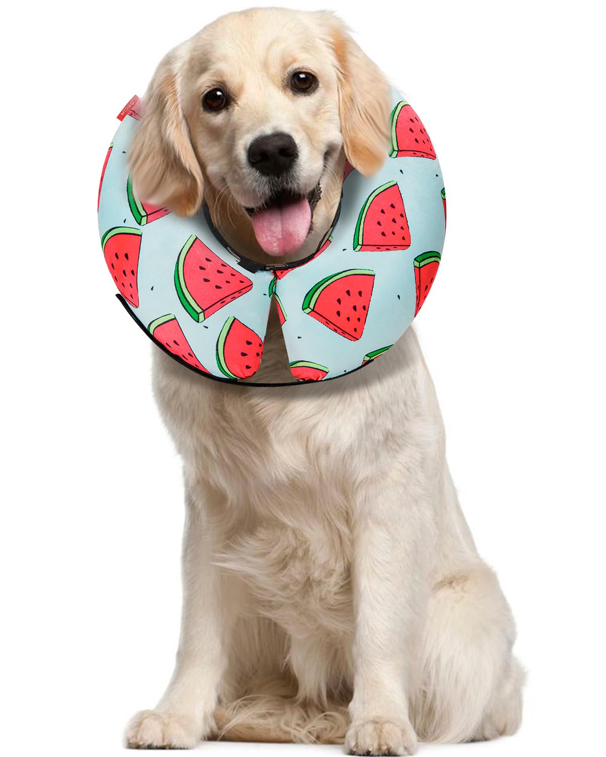 MIDOG Inflatable Dog Cone, Soft Donut Recovery Collar, ‌Melon, Large