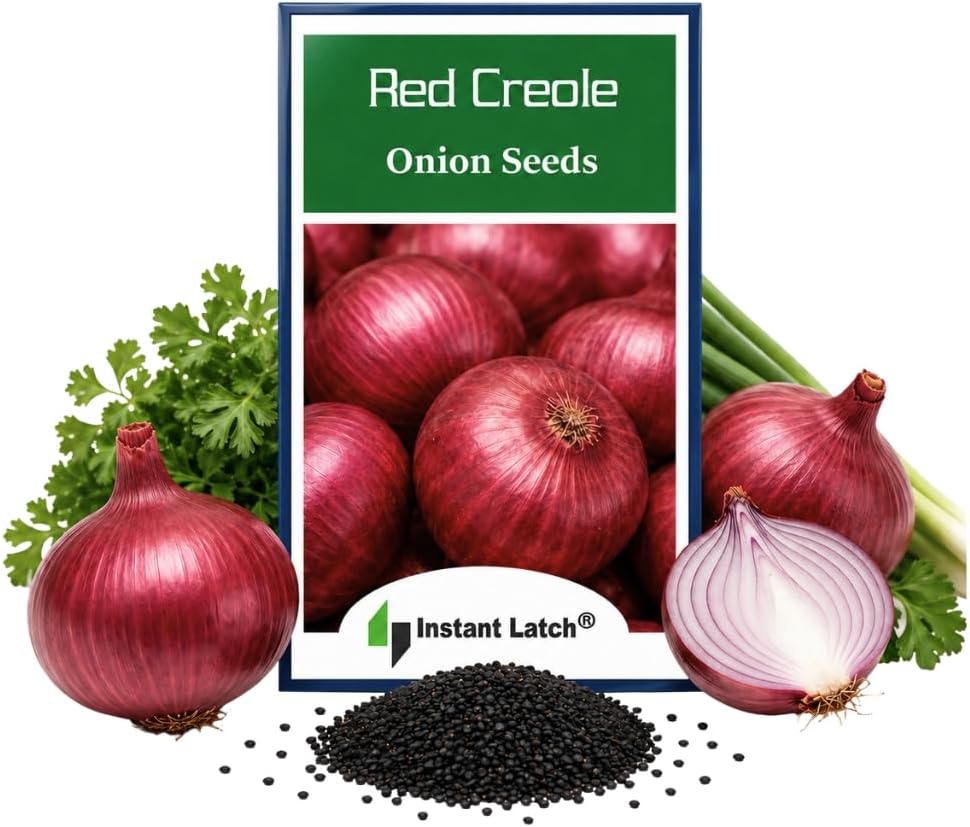 Instant Latch Red Creole Onion Seeds