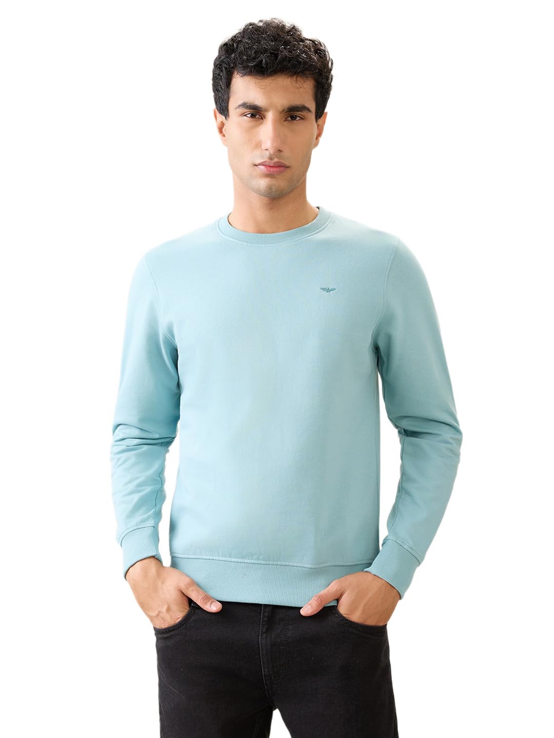 park avenue Men Full Sleeve Slim Fit Solid Pattern Cotton Polyester Blend Regular Neck Casual Sweatshirt-picture-21