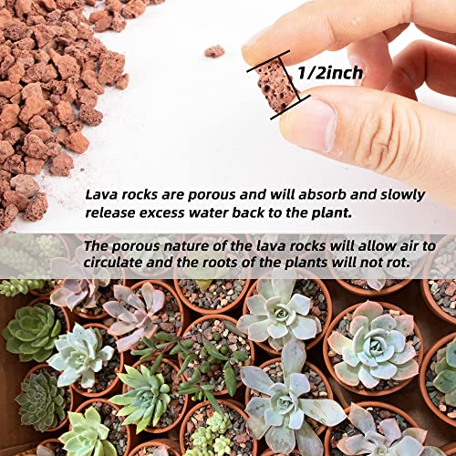 14LB Red Horticultural Lava Rocks Soil for Decorative Landscaping Bonsai, Cacti, Succulents Plants Top Dressing - Thumbnail 3