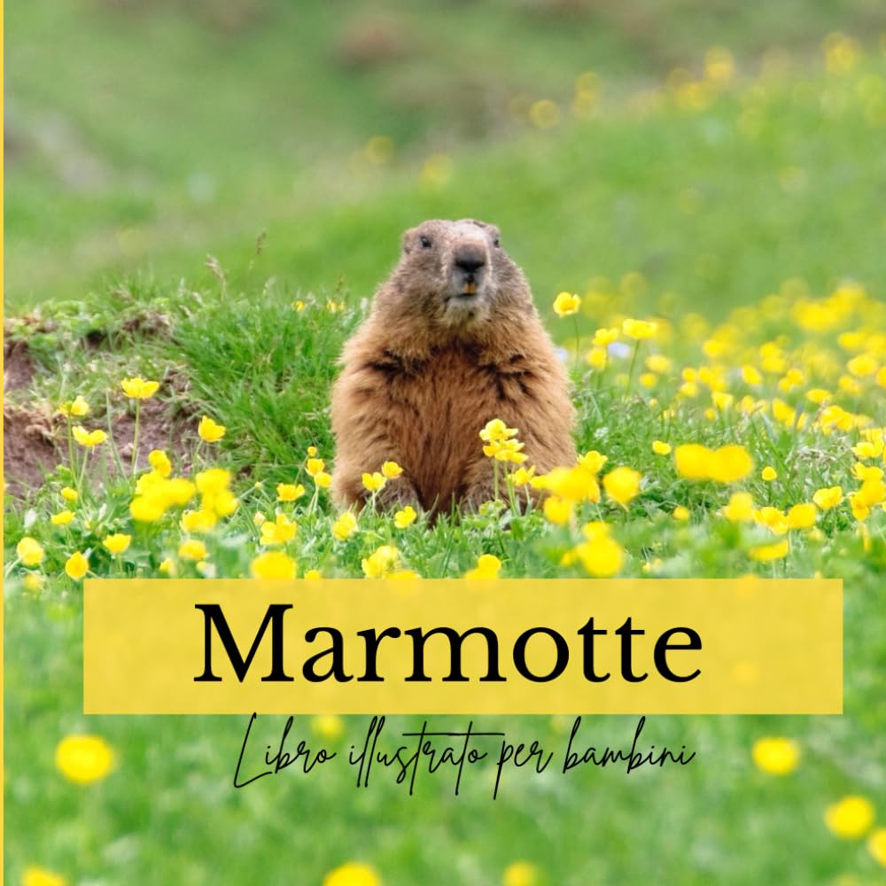 Marmotte: Libro illustrato per bambini