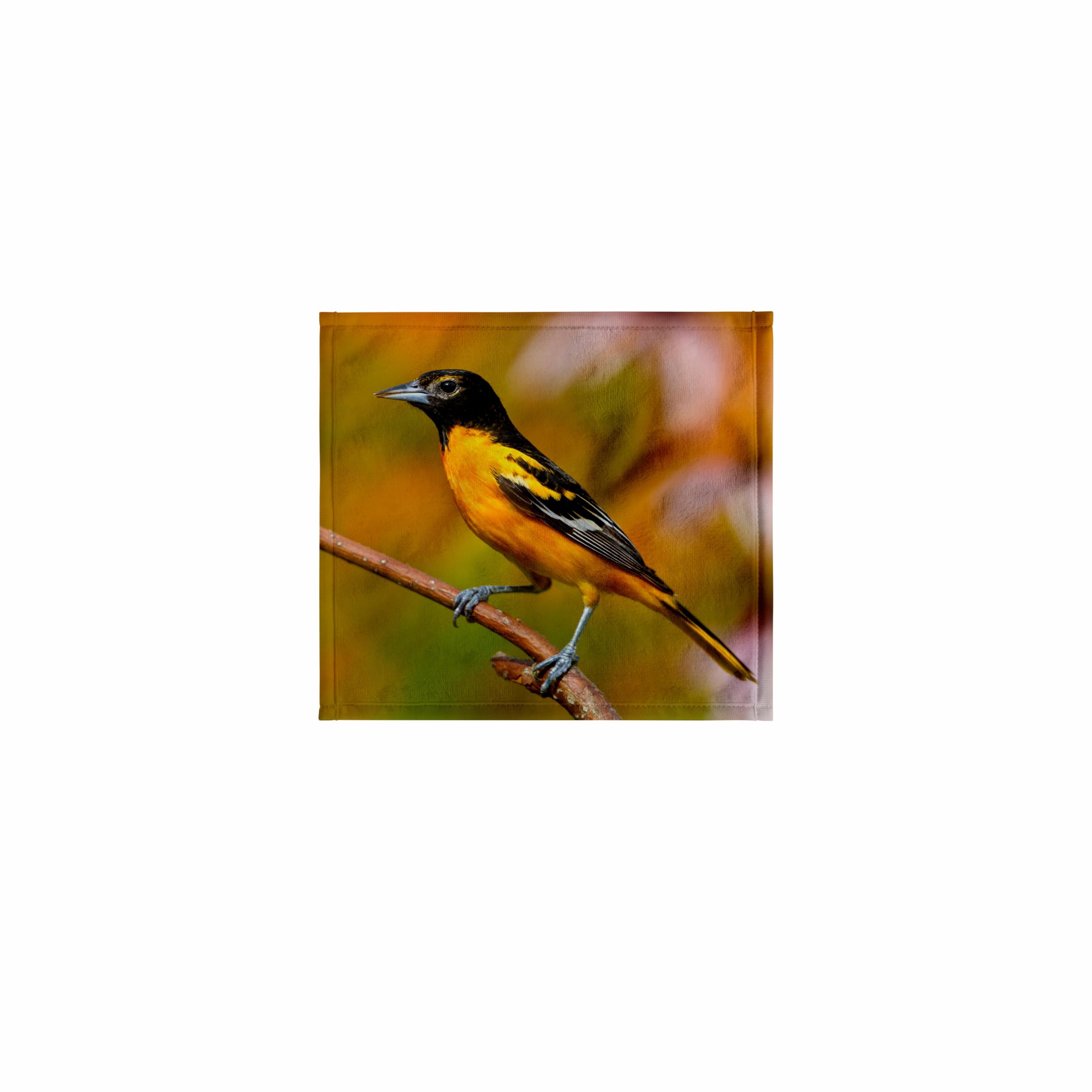 3dRose 11x12 Wash Cloth for Face and Body - Baltimore Oriole Male in Flower Garden, Marion, Illinois, USA. Birds