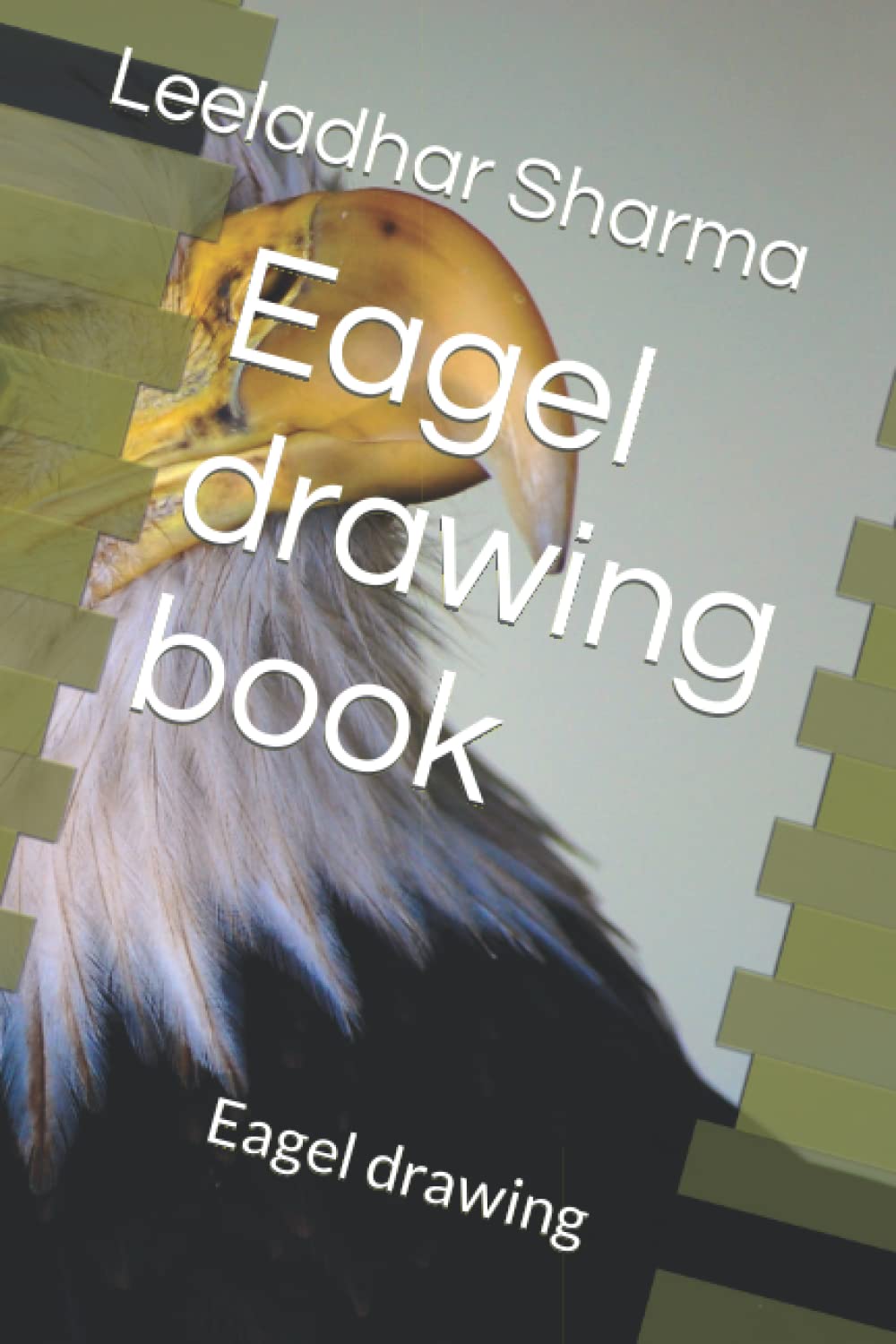 Eagel drawing book: Eagel drawing