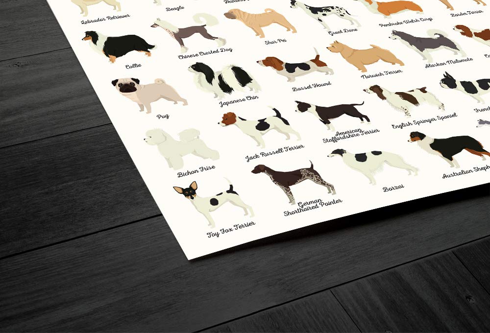 Dog Breed Chart Poster