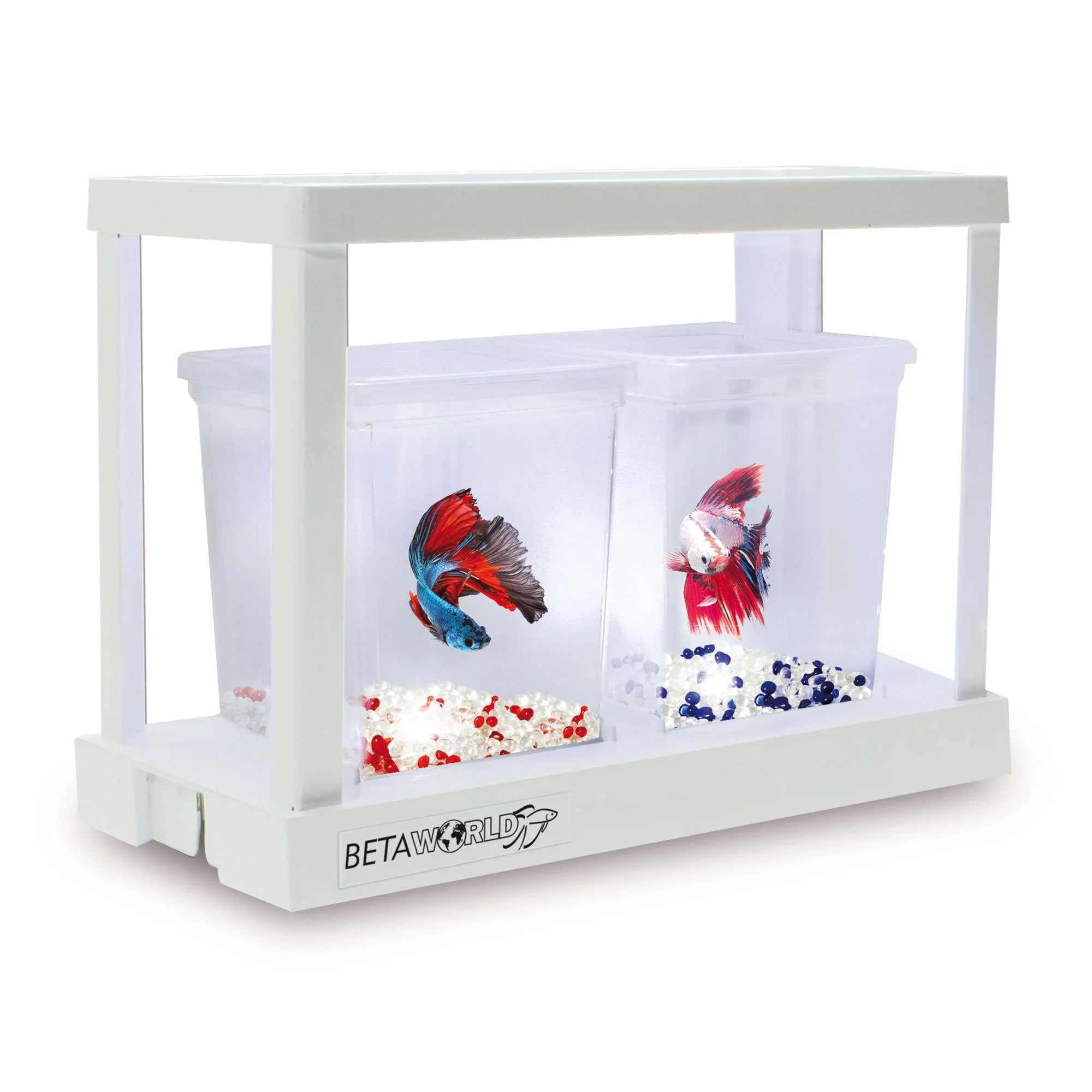 BETAWORLD (Iniciación) 0.75 L - Kit Completo de Betera Interconectable y Apilable, Blanco