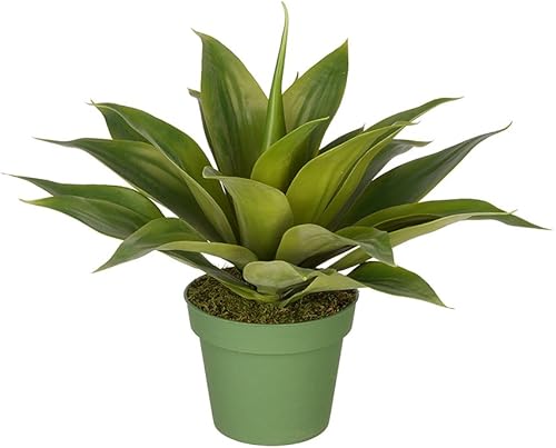 Miniatura 5 de House of Silk Flowers Suculenta de agave artificial (grande)