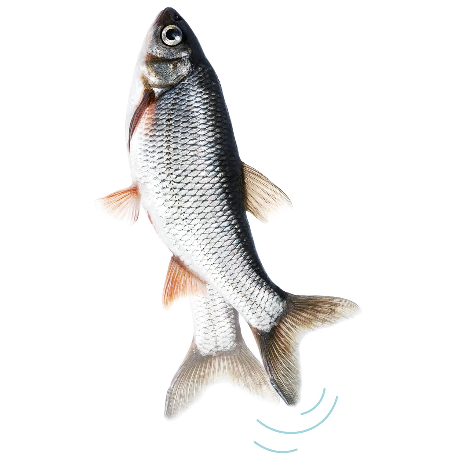 ダンジングフィッシュ 魚型 ギミックトイ　おもちゃ　フィギュア　歌う踊る ダンジングフィッシュ 魚型 ギミックトイ おもちゃ フィギュア 歌う