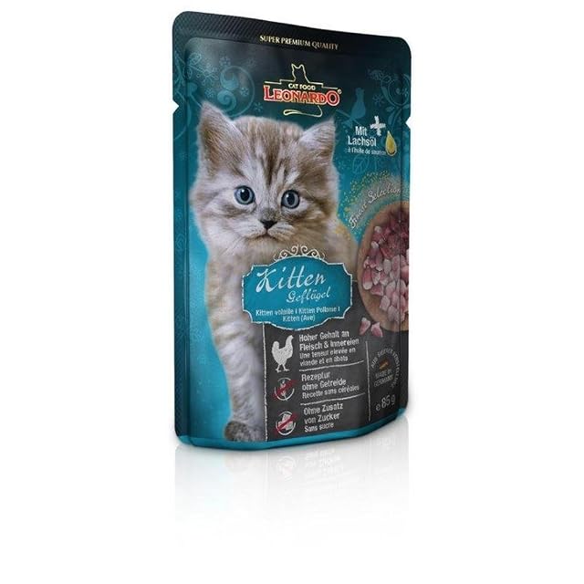 Leonardo Kitten Ave 85G