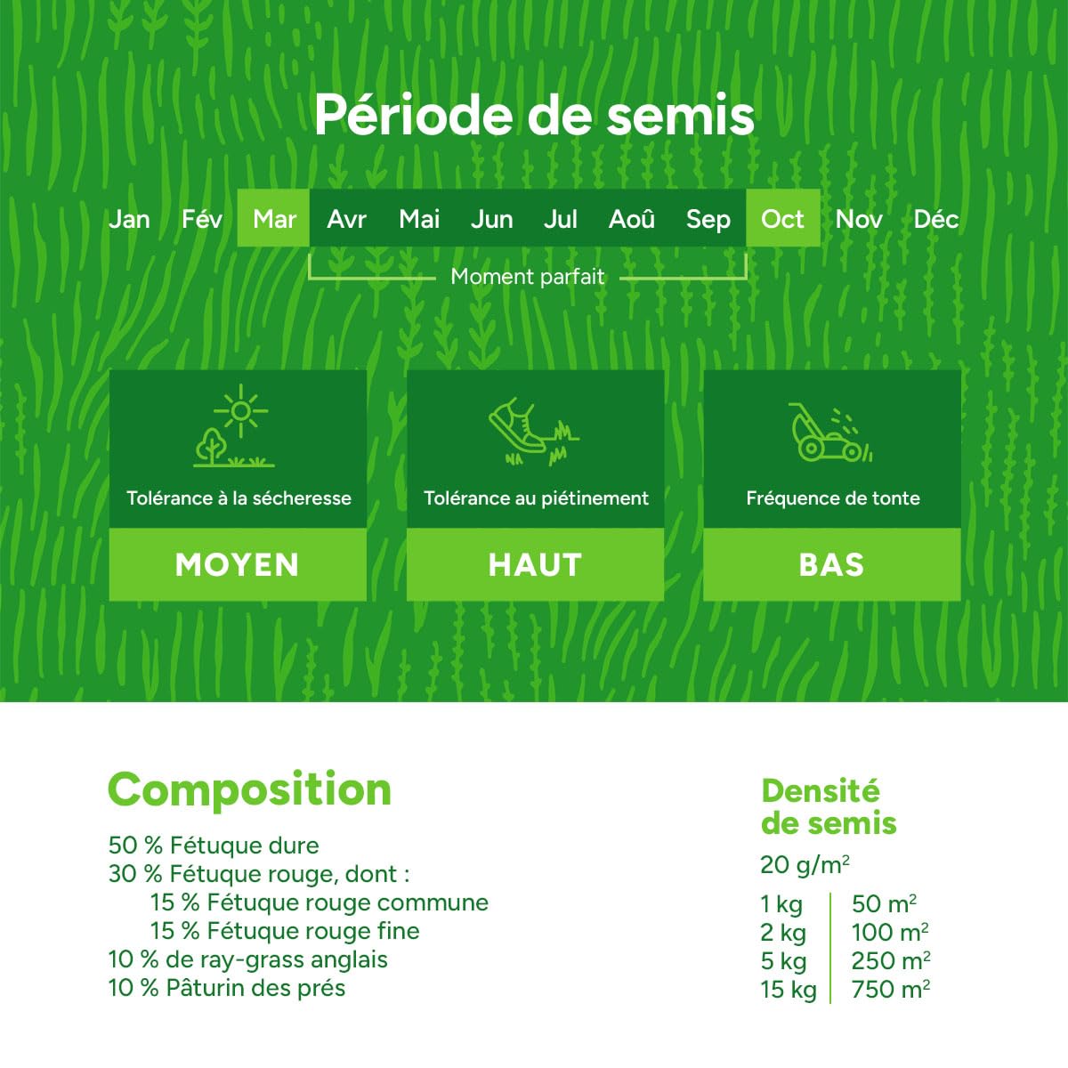 MRS Easy Mow : Semences de gazon - 2 kg pour 100 m² - Peu d’entretien - Tolérant à la sécheresse - Forme un gazon dense et durable