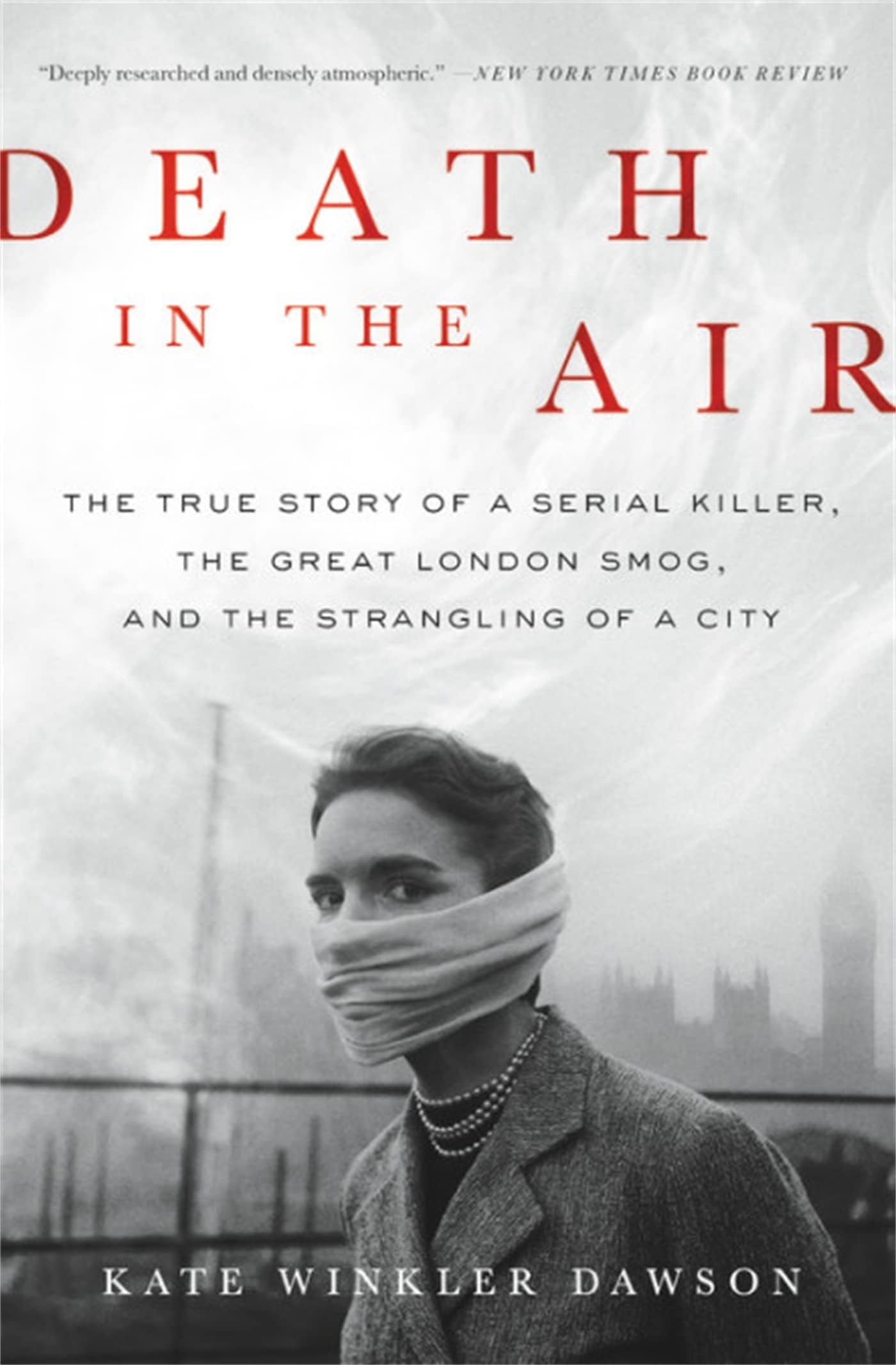 Death in the Air Paperback – November 13, 2018