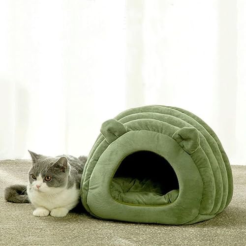 cat bed