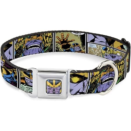 infinity stone dog collar