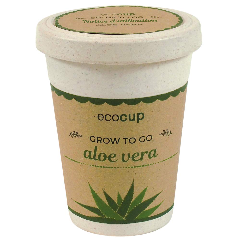 Feel Green Ecocup, Aloe Vera Exotics, Gift Idea (100% Ecological), Grow-Your-Own/Ready-to-Grow Kit, Plants in Coffee Cup 10 x 8 cm, Made in Austria