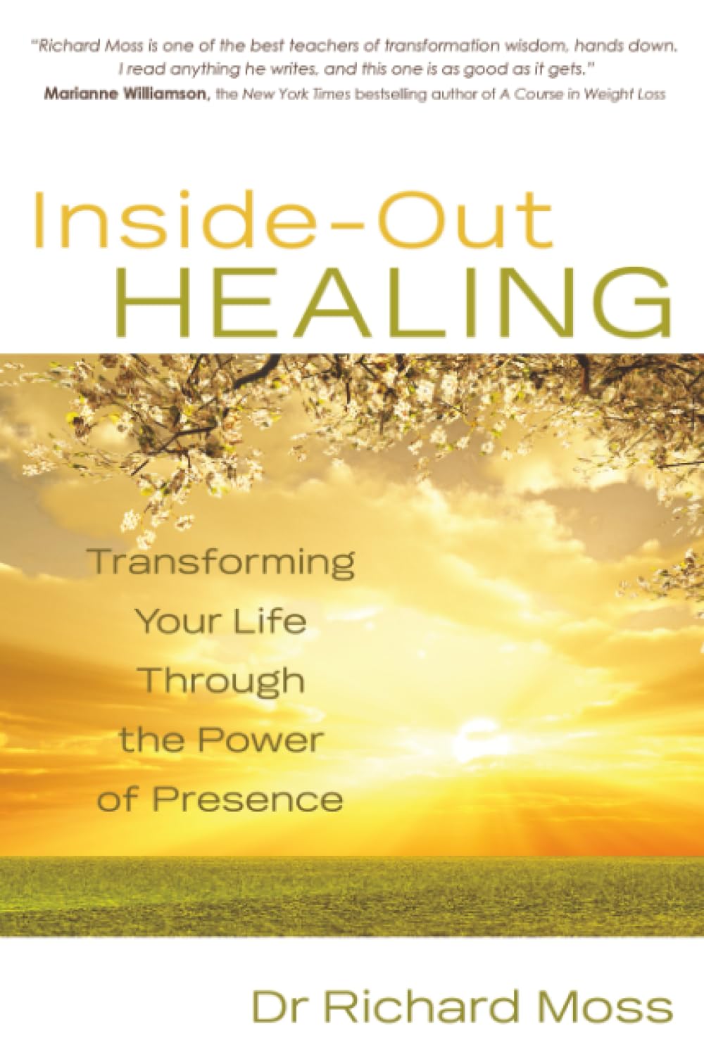 Inside-out Healing: Transforming Your Life Through the Power of Presence