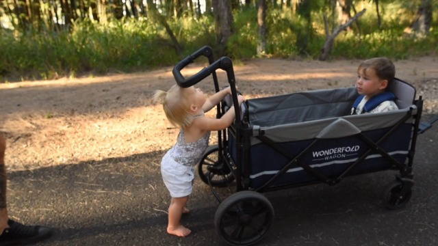 Watch WONDERFOLD X2 Multi-Function Pull & Push Stroller Wagon on Amazon Live