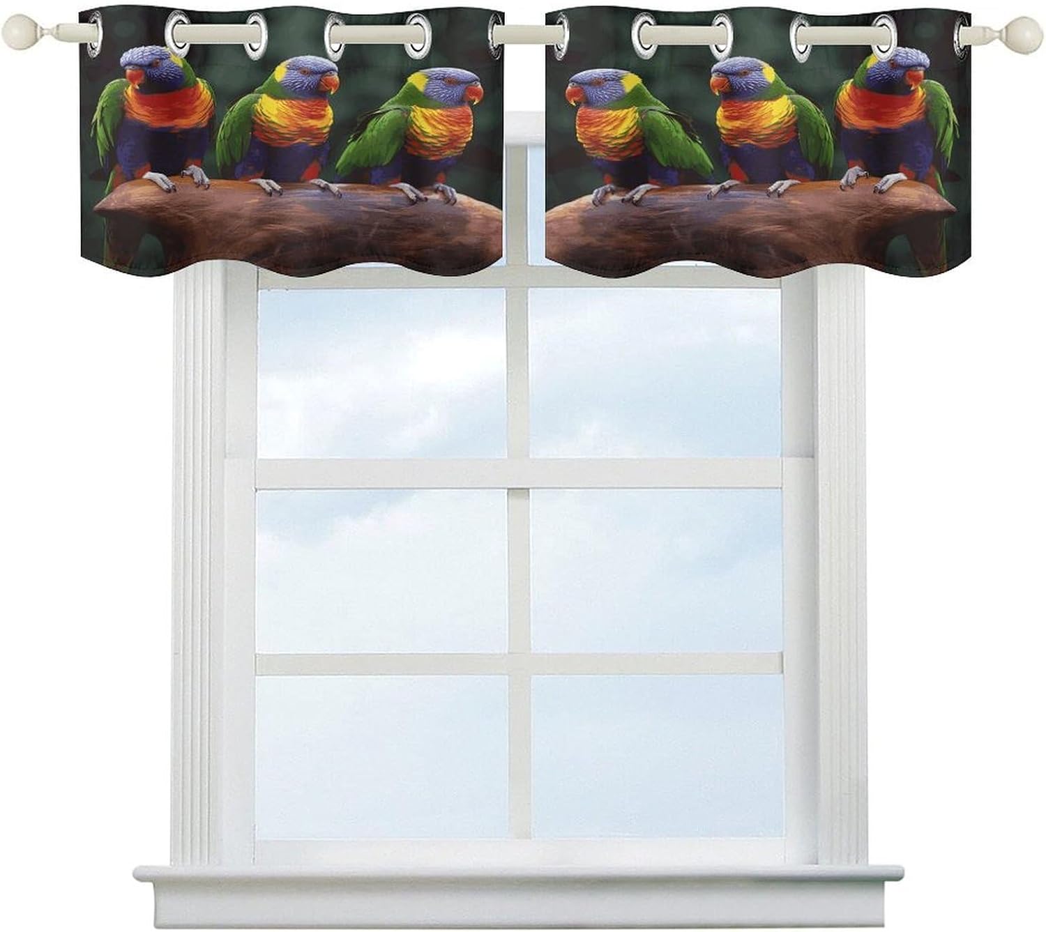 Rainbow Parrots 2 Pack Valance Curtains Window Treatments. Adjustable Curtain with Rod Pocket.Cafe Curtains is Half Curtains for Privacy Decorative 52x18.1 Inch.