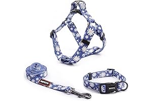 Charming Daisy Dog Collar and Leash Set: A Delightful Duo for Your Canine Companion