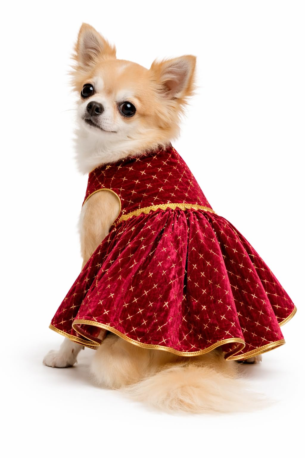 Petaloons Premium Red Velvet Dog Lehenga for Weddings & Festivals | Designer Ethnic Dress for Small, Medium & Large Dogs | Soft Lining | S–XXL (S)-image-47
