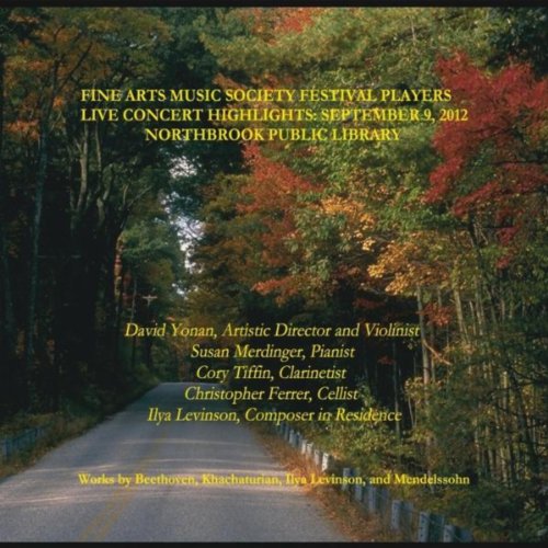 Best Violin Piano Trios Expert Review The Modern Record