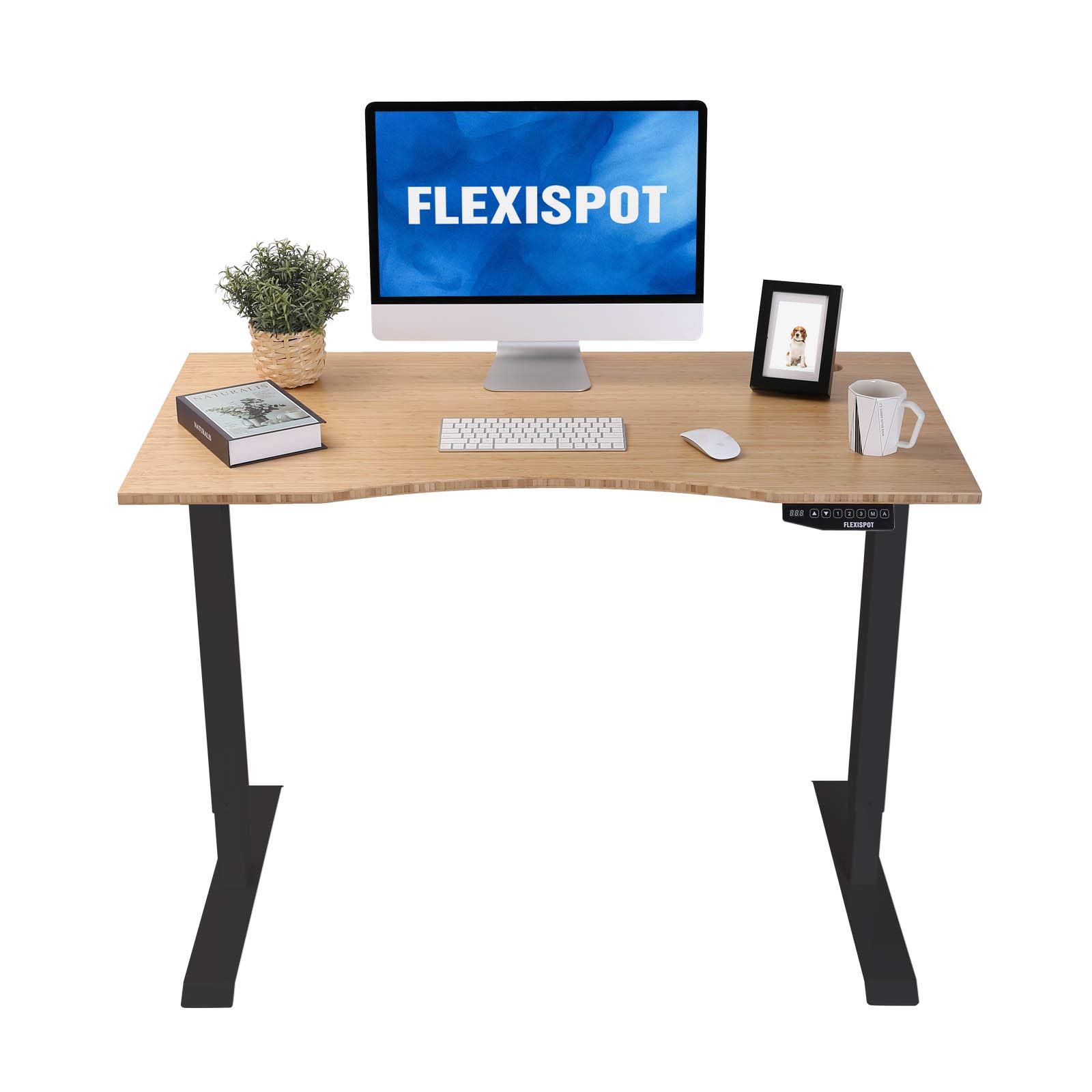 Buy Flexispot 48" Bamboo Standing Desk Ergonomic Electric Sit Stand Up