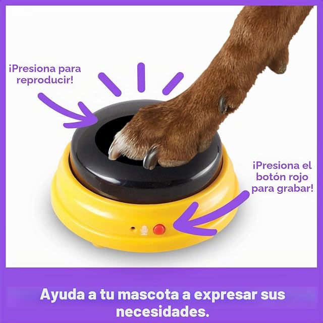 Foto 5 de 8 de Hunger for Words Set de Nombres Propios para Mascotas Que Hablan, 3 Botones grabables para Perros