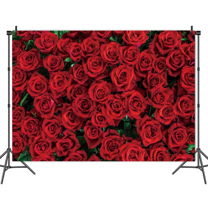 Fondo Fotográfico Rosas Rojas 70.8x47.2 Pulgadas miniatura 3