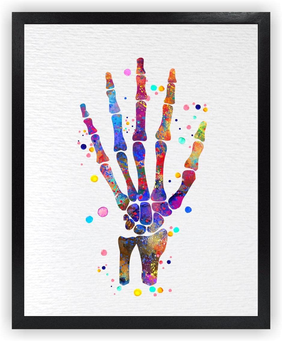Dignovel Studios 24X36 Unframed Hand Bone Human Anatomy Medical Science Doctor Clinic Hospital Watercolor Art Print Poster DN715