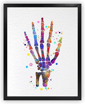 Dignovel Studios 8X10 Unframed Hand Bone Human Anatomy Medical Science Doctor Clinic Hospital Watercolor Art Print Poster DN715