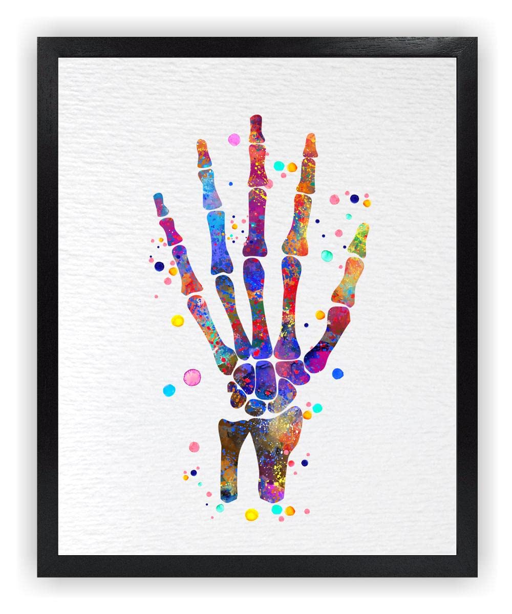 Dignovel Studios 24X36 Unframed Hand Bone Human Anatomy Medical Art Science Doctor Clinic Hospital Watercolor Art Print Poster DN715