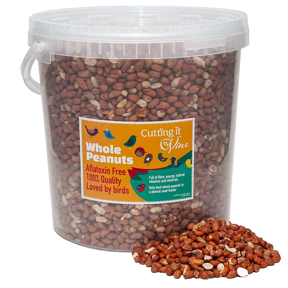Peanuts for Birds (10L Tub), Attract Wild Birds with Finest Grade Peanuts, Year Round Wild Bird Food and Squirrel Food of Choice